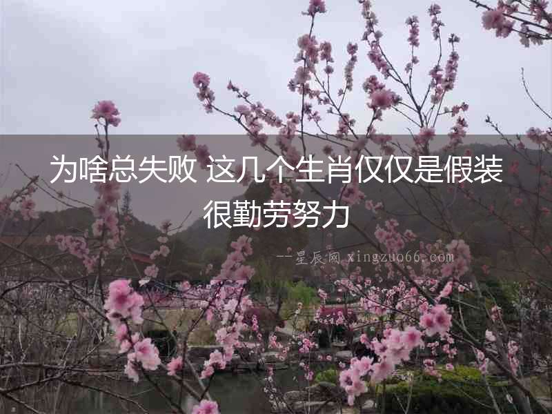為啥總失敗 這幾個生肖僅僅是假裝很勤勞努力