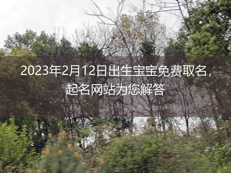 2023年2月12日出生寶寶免費取名，起名網站為您解答