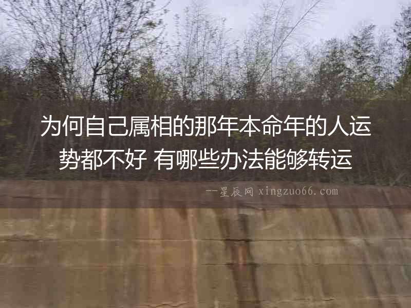 為何自己屬相的那年本命年的人運勢都不好 有哪些辦法能夠轉運