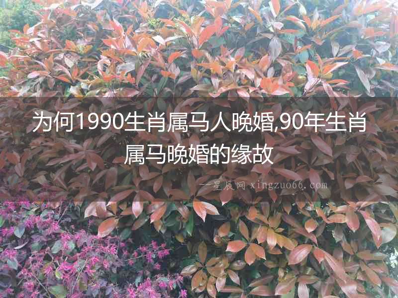 為何1990生肖屬馬人晚婚,90年生肖屬馬晚婚的緣故