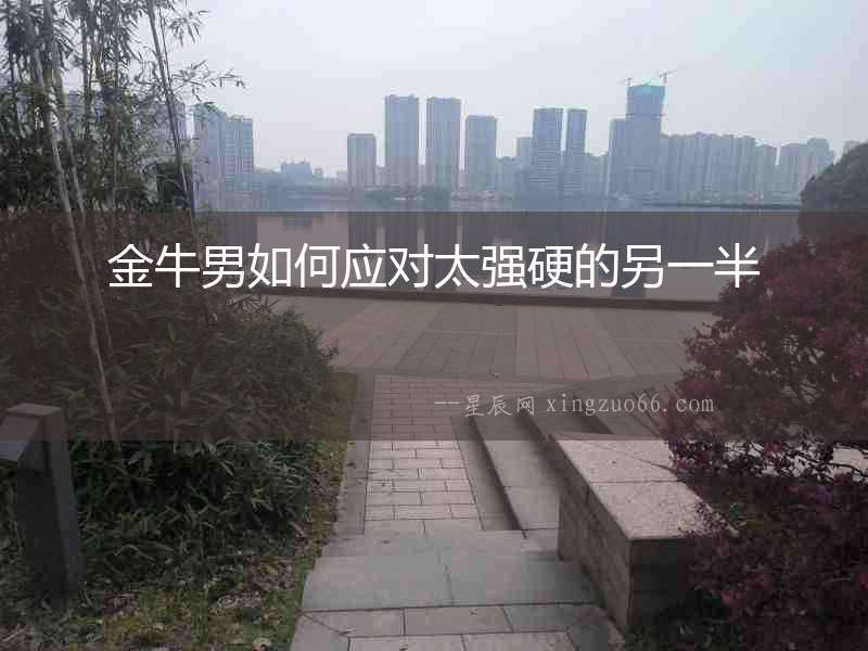 金牛男如何應對太強硬的另一半