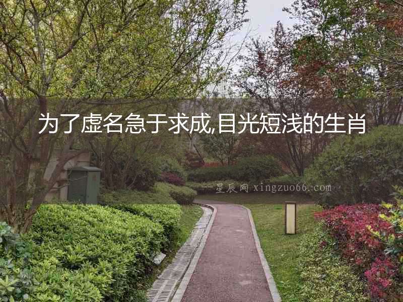 為了虛名急于求成,目光短淺的生肖