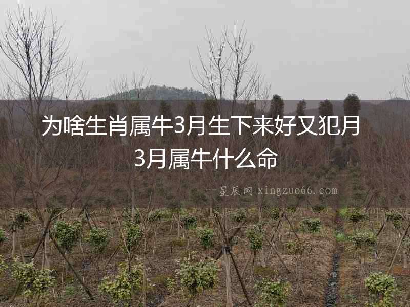 為啥生肖屬牛3月生下來好又犯月 3月屬牛什么命