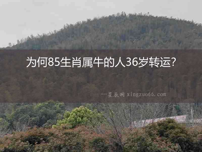 為何85生肖屬牛的人36歲轉運？