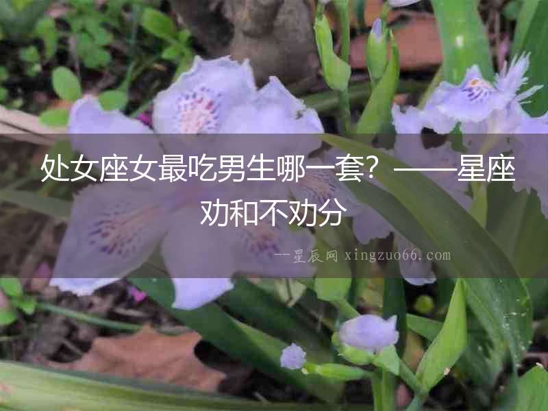  處女座女最吃男生哪一套？——星座勸和不勸分