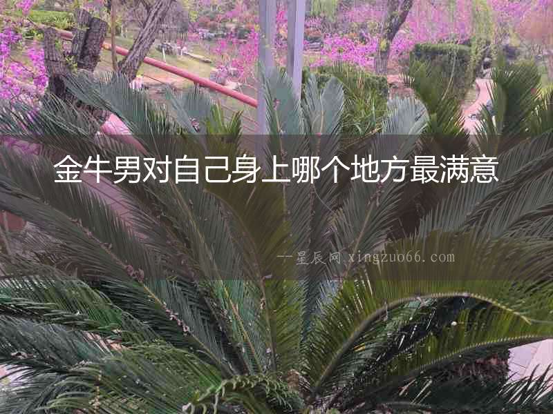 金牛男對自己身上哪個地方最滿意