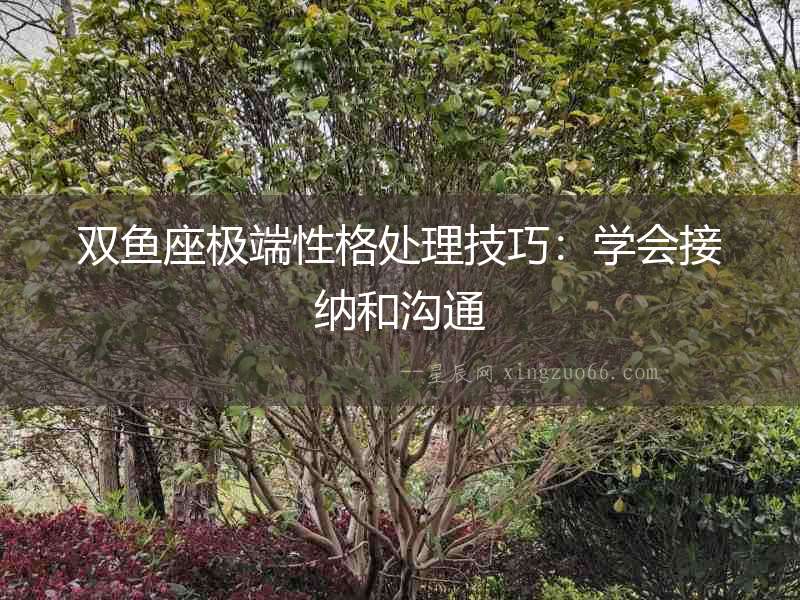雙魚座極端性格處理技巧：學會接納和溝通
