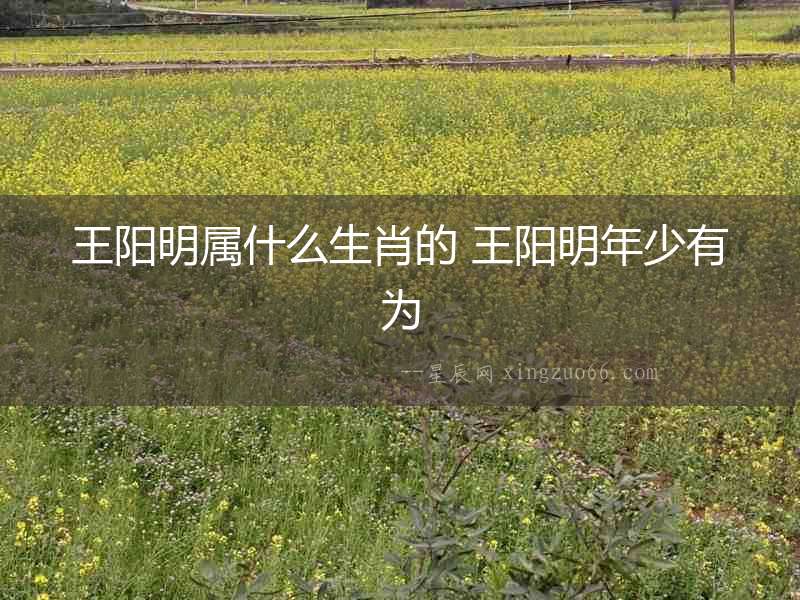 王陽明屬什么生肖的 王陽明年少有為