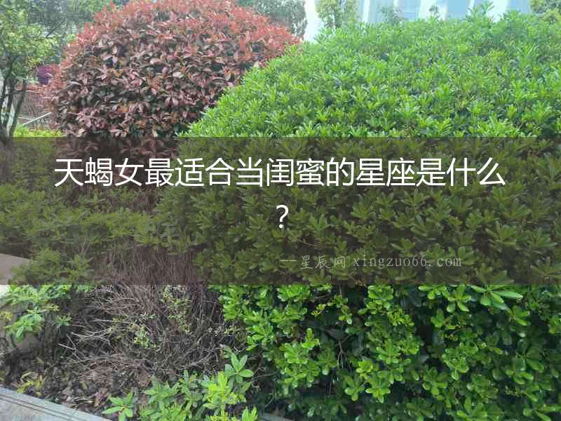 天蝎女最適合當閨蜜的星座是什么？
