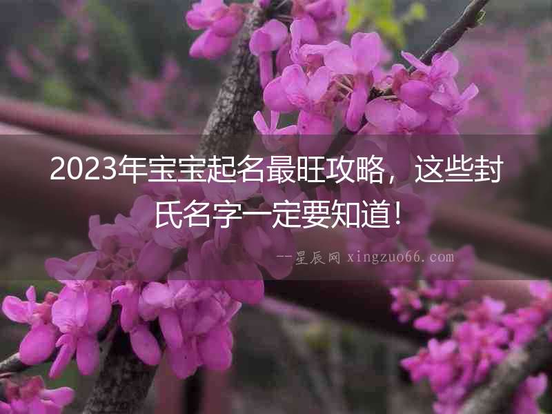 2023年寶寶起名最旺攻略，這些封氏名字一定要知道！
