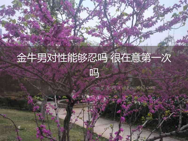 金牛男對性能夠忍嗎 很在意第一次嗎