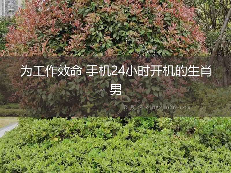 為工作效命 手機24小時開機的生肖男