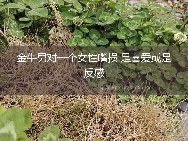 金牛男對一個女性嘴損 是喜愛或是反感