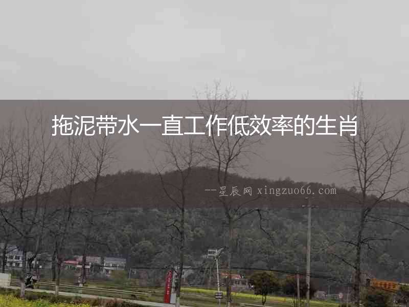 拖泥帶水一直工作低效率的生肖
