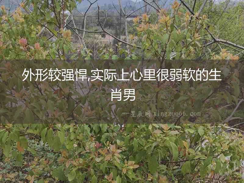 外形較強悍,實際上心里很弱軟的生肖男