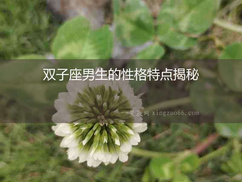 雙子座男生的性格特點揭秘