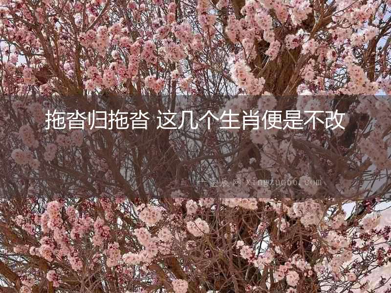 拖沓歸拖沓 這幾個生肖便是不改