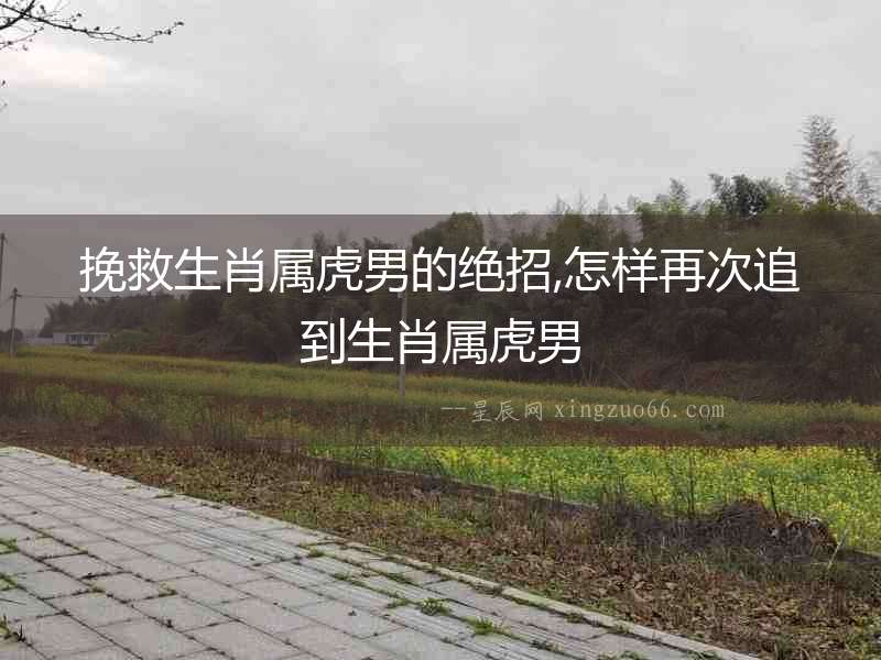 挽救生肖屬虎男的絕招,怎樣再次追到生肖屬虎男