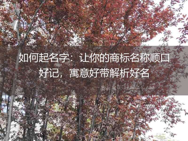 如何起名字：讓你的商標名稱順口好記，寓意好帶解析好名