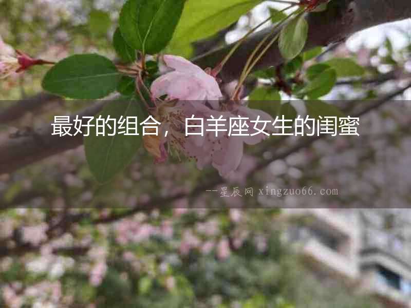 最好的組合，白羊座女生的閨蜜