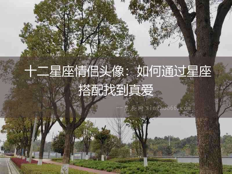  十二星座情侶頭像：如何通過星座搭配找到真愛