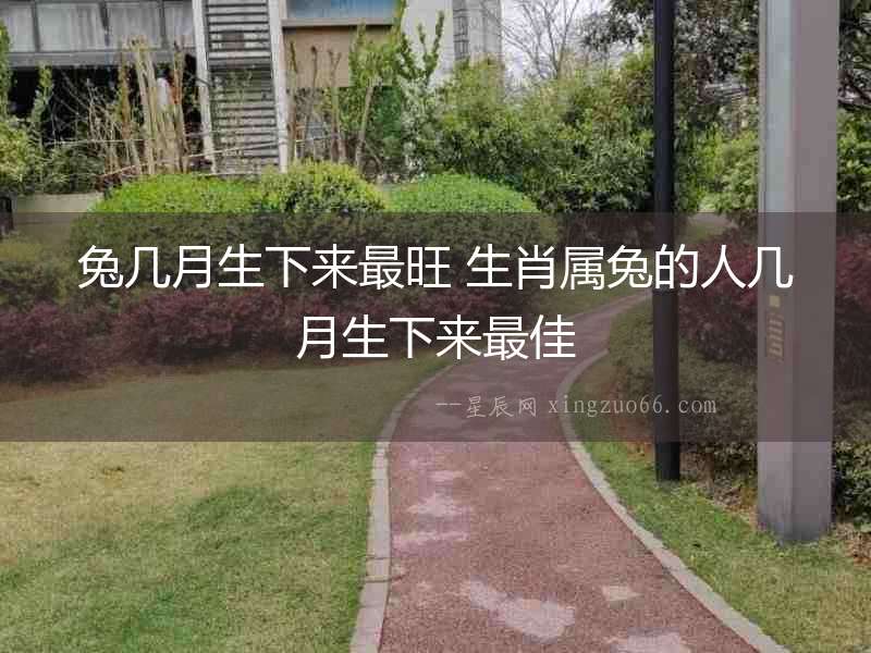 兔幾月生下來最旺 生肖屬兔的人幾月生下來最佳