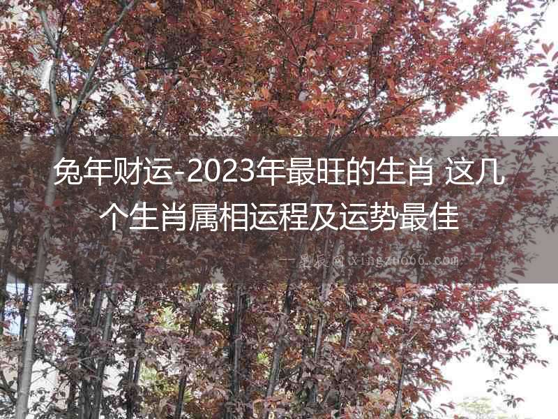 兔年財運-2023年最旺的生肖 這幾個生肖屬相運程及運勢最佳