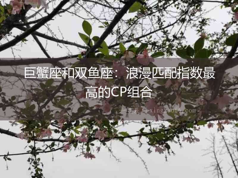 巨蟹座和雙魚座：浪漫匹配指數(shù)最高的CP組合
