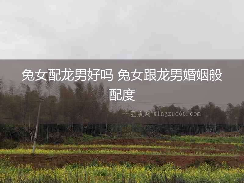 兔女配龍男好嗎 兔女跟龍男婚姻般配度