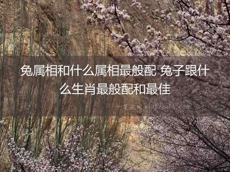 兔屬相和什么屬相最般配 兔子跟什么生肖最般配和最佳