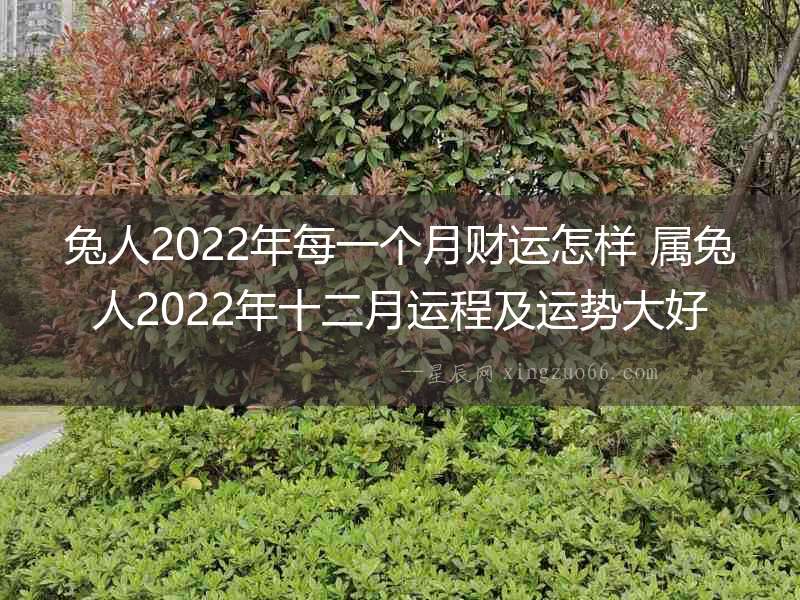 兔人2022年每一個月財運怎樣 屬兔人2022年十二月運程及運勢大好