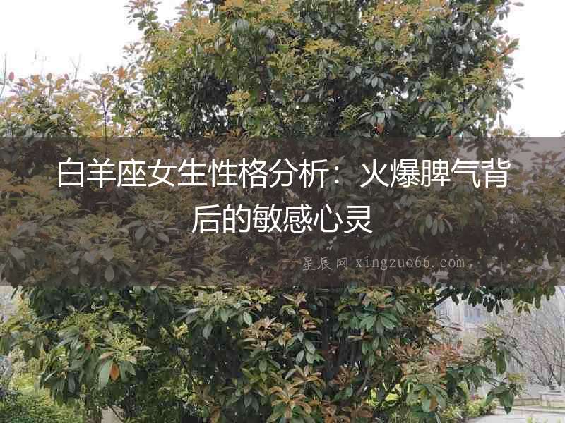 白羊座女生性格分析：火爆脾氣背后的敏感心靈
