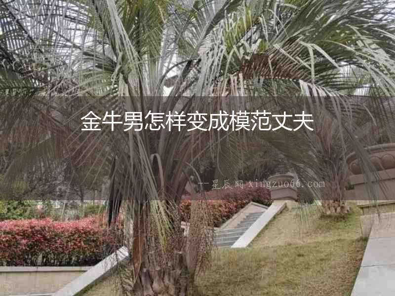 金牛男怎樣變成模范丈夫