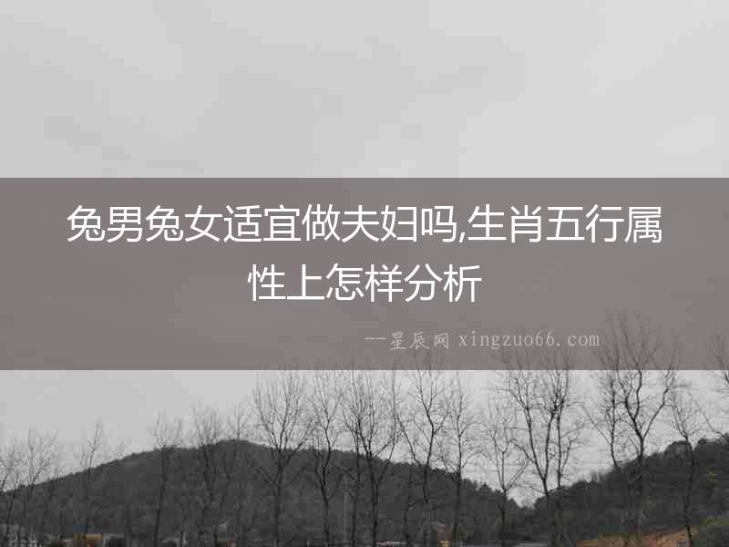 兔男兔女適宜做夫婦嗎,生肖五行屬性上怎樣分析