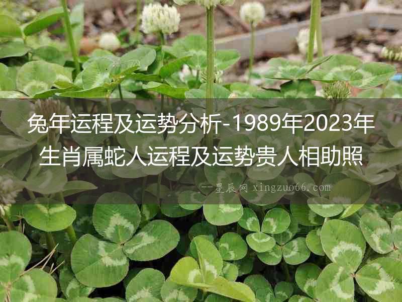 兔年運程及運勢分析-1989年2023年生肖屬蛇人運程及運勢貴人相助照料爭取機遇