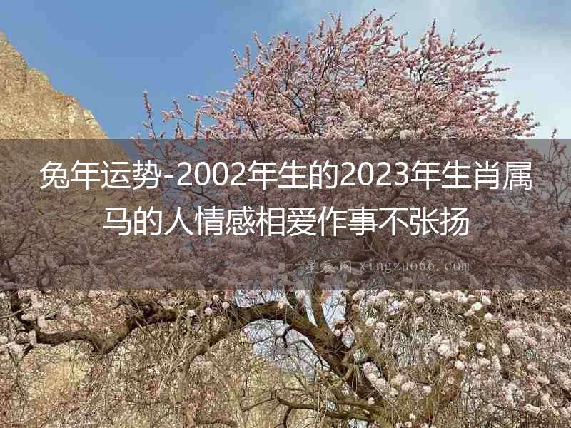 兔年運勢-2002年生的2023年生肖屬馬的人情感相愛作事不張揚