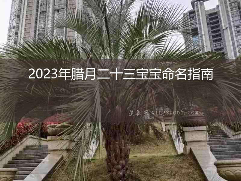 2023年臘月二十三寶寶命名指南