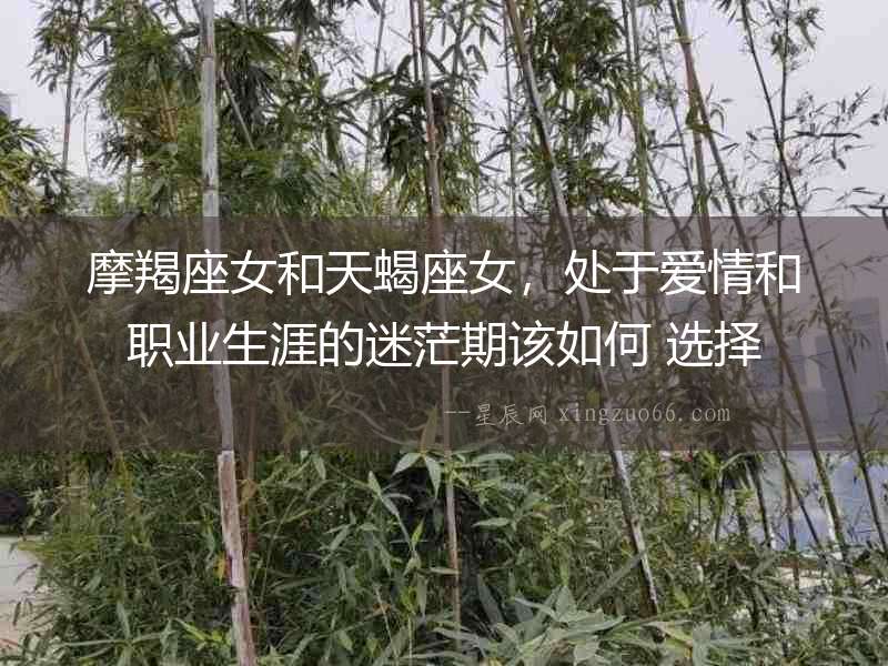 摩羯座女和天蝎座女，處于愛情和職業生涯的迷茫期該如何 選擇