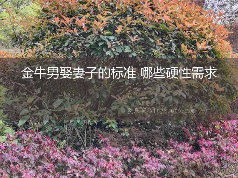 金牛男娶妻子的標準 哪些硬性需求