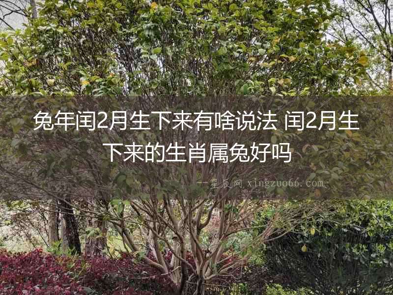 兔年閏2月生下來(lái)有啥說(shuō)法 閏2月生下來(lái)的生肖屬兔好嗎