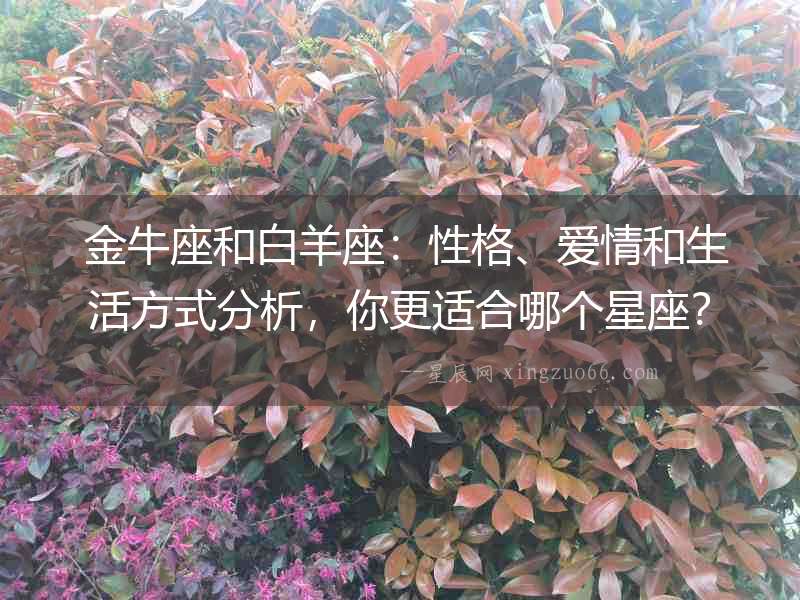 金牛座和白羊座：性格、愛情和生活方式分析，你更適合哪個星座？