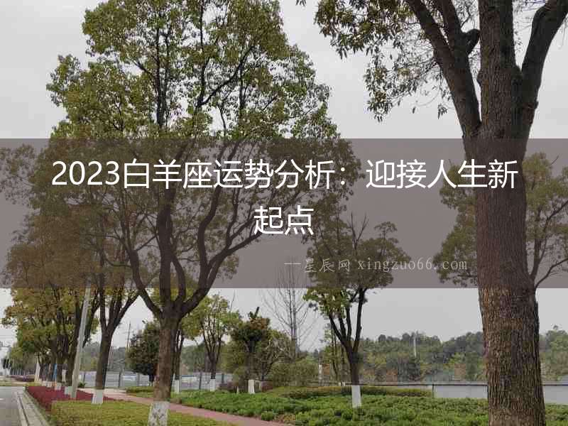 2023白羊座運勢分析：迎接人生新起點