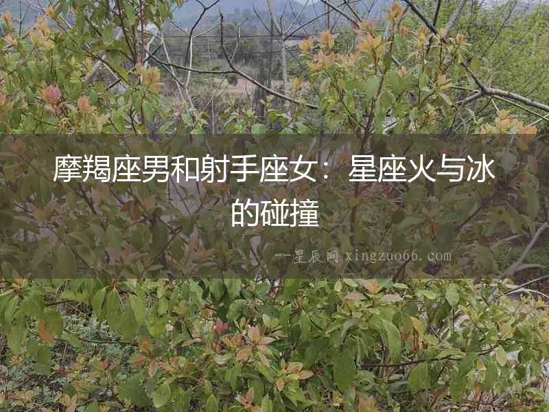 摩羯座男和射手座女：星座火與冰的碰撞