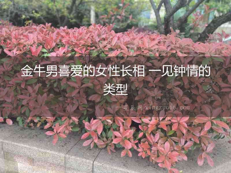 金牛男喜愛的女性長相 一見鐘情的類型