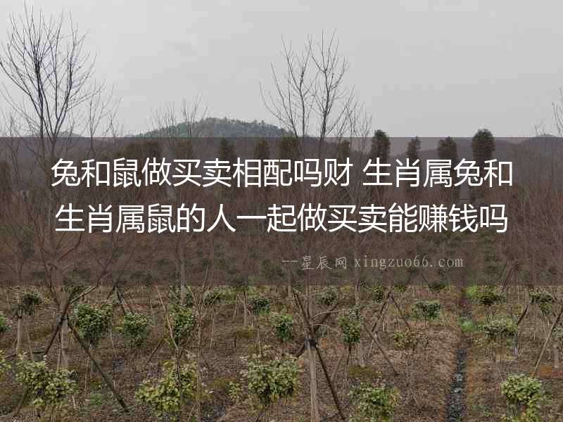 兔和鼠做買(mǎi)賣(mài)相配嗎財(cái) 生肖屬兔和生肖屬鼠的人一起做買(mǎi)賣(mài)能賺錢(qián)嗎