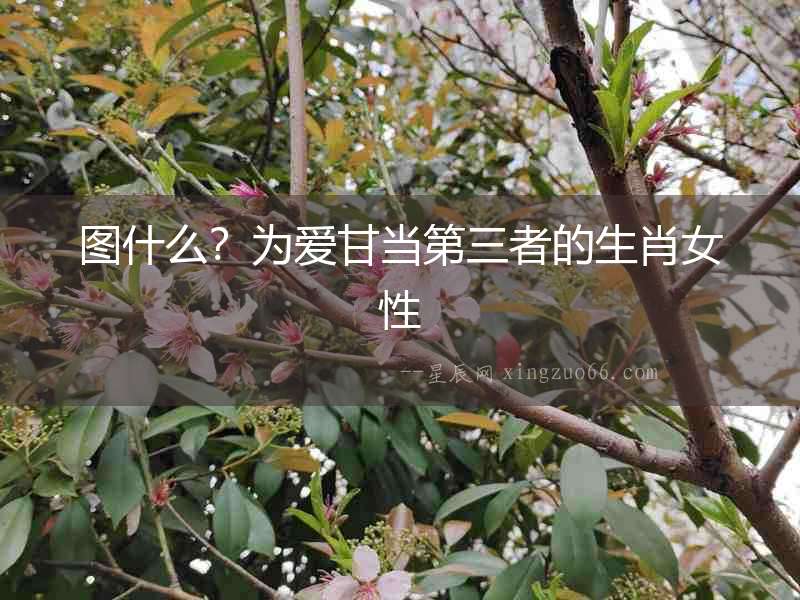 圖什么?為愛(ài)甘當(dāng)?shù)谌叩纳づ? alt=