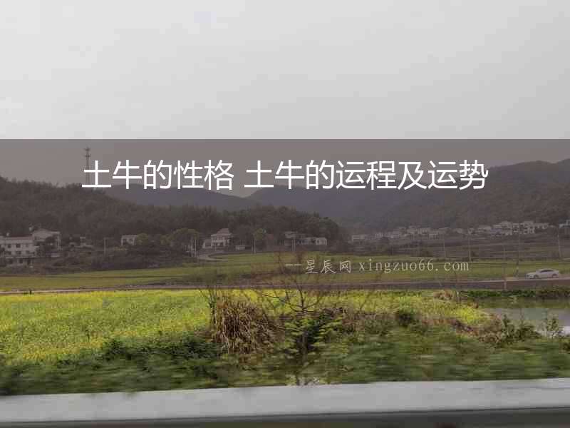 土牛的性格 土牛的運程及運勢