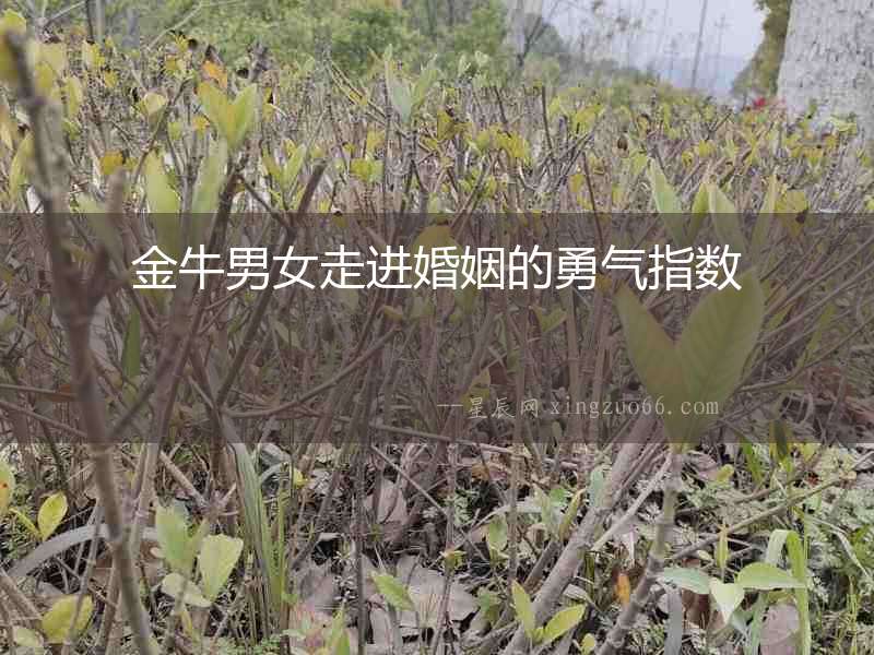 金牛男女走進婚姻的勇氣指數