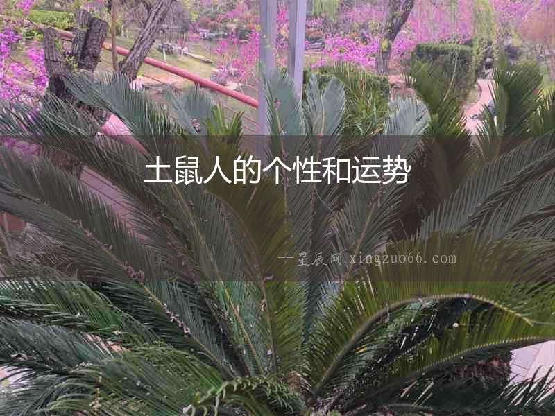 土鼠人的個(gè)性和運(yùn)勢(shì)