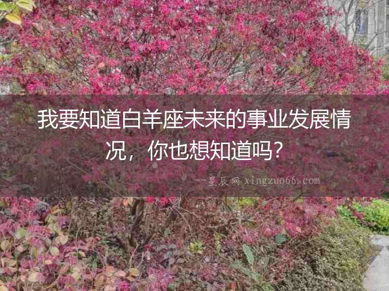 我要知道白羊座未來的事業發展情況，你也想知道嗎？
